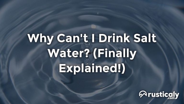 Why Can't I Drink Salt Water? (Explained for Beginners)