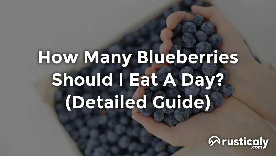 how many blueberries should i eat a day