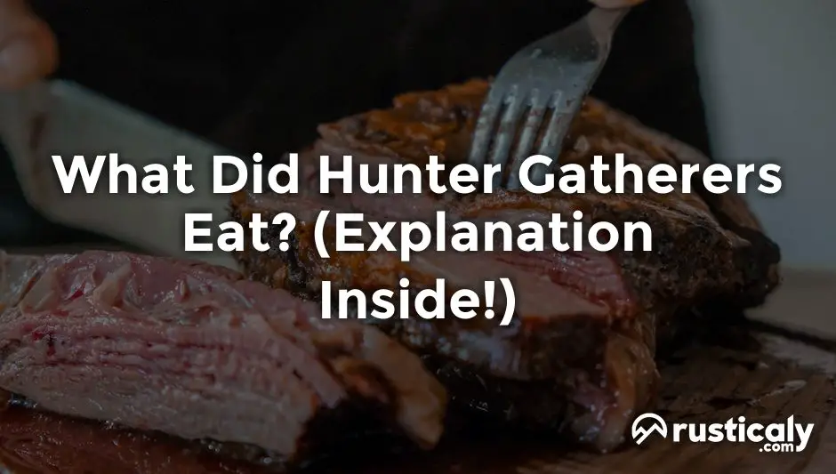 what did hunter gatherers eat