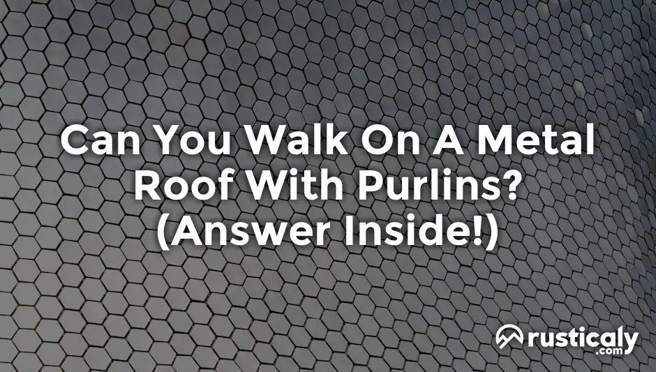 can you walk on a metal roof with purlins