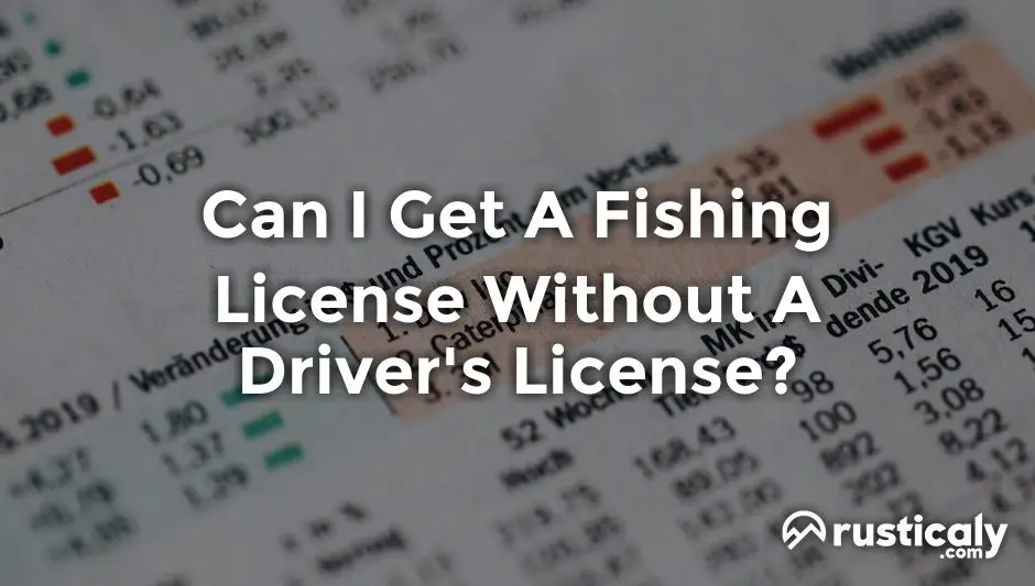 can i get a fishing license without a driver's license