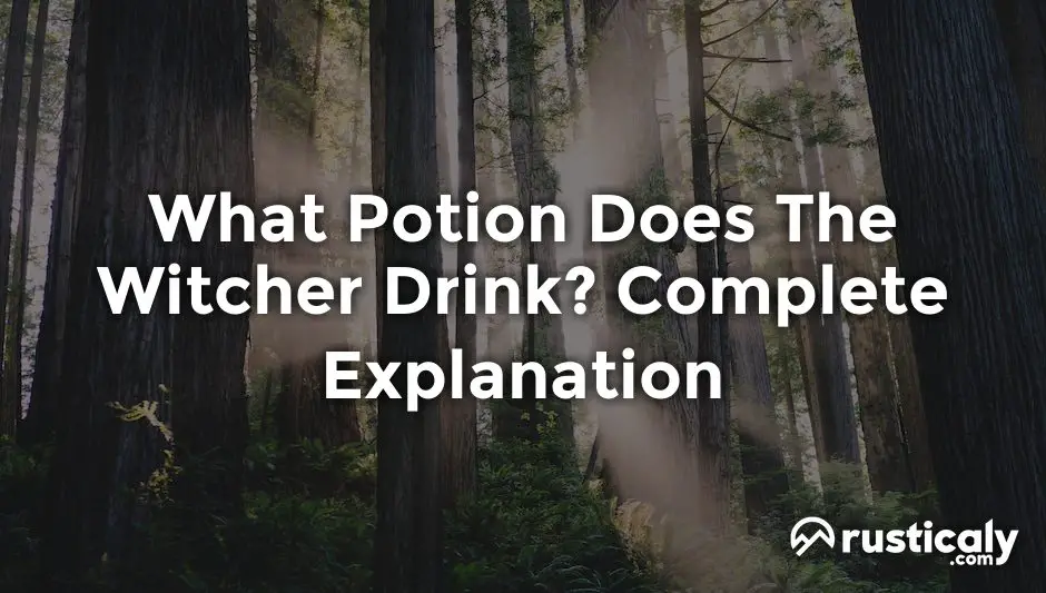 what potion does the witcher drink