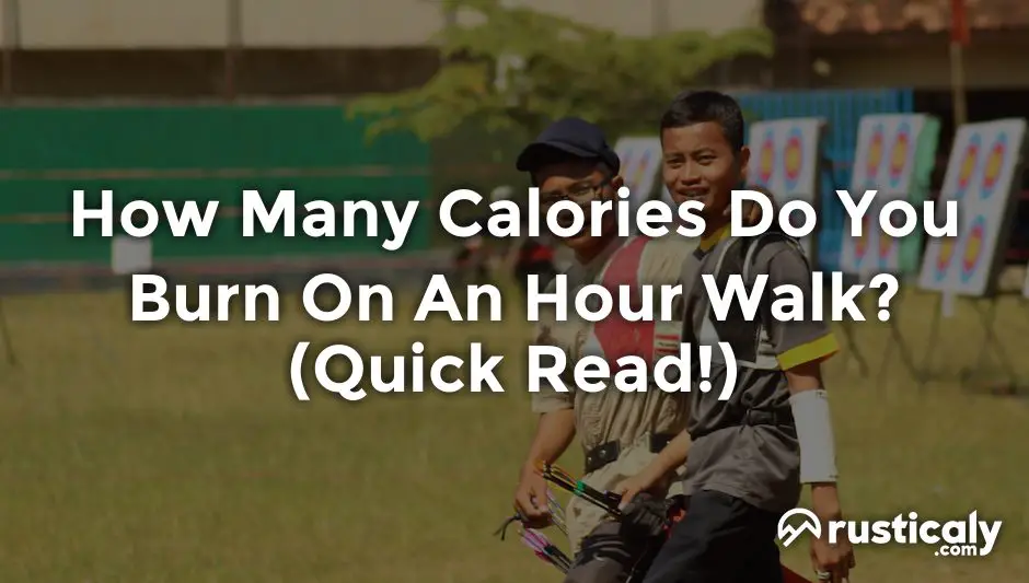 how many calories do you burn on an hour walk