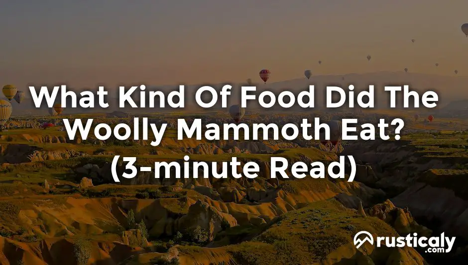 what kind of food did the woolly mammoth eat
