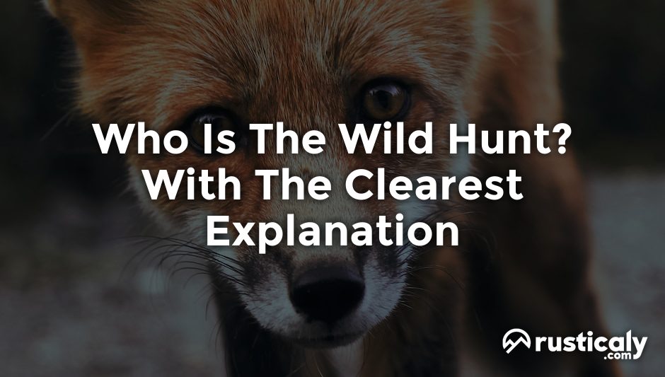 who is the wild hunt