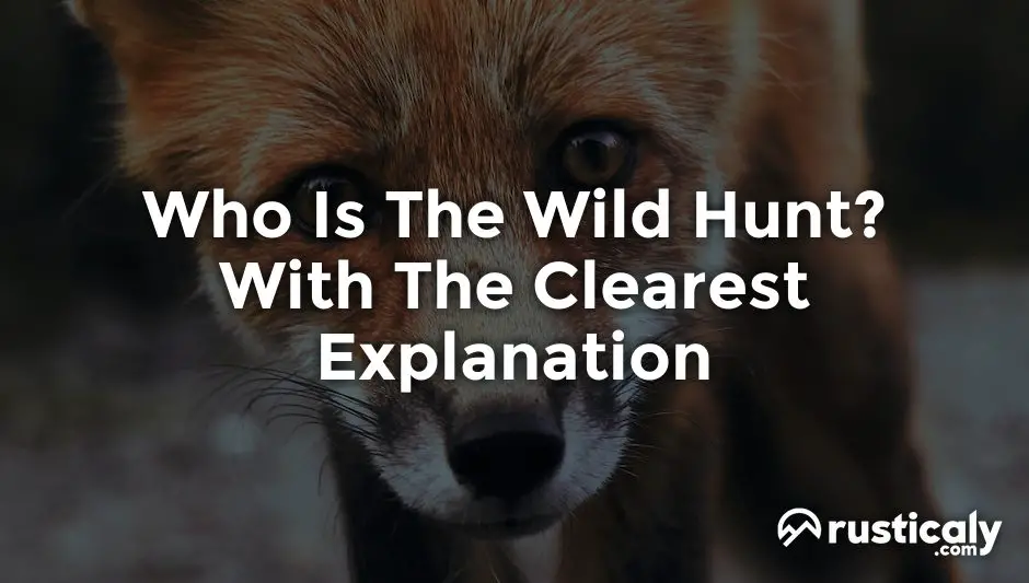 Who Is The Wild Hunt? (Fully Explained Inside!)