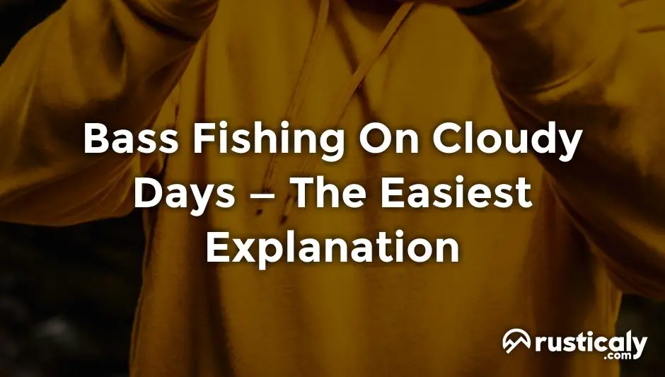 Bass Fishing On Cloudy Days What People Don't Tell You