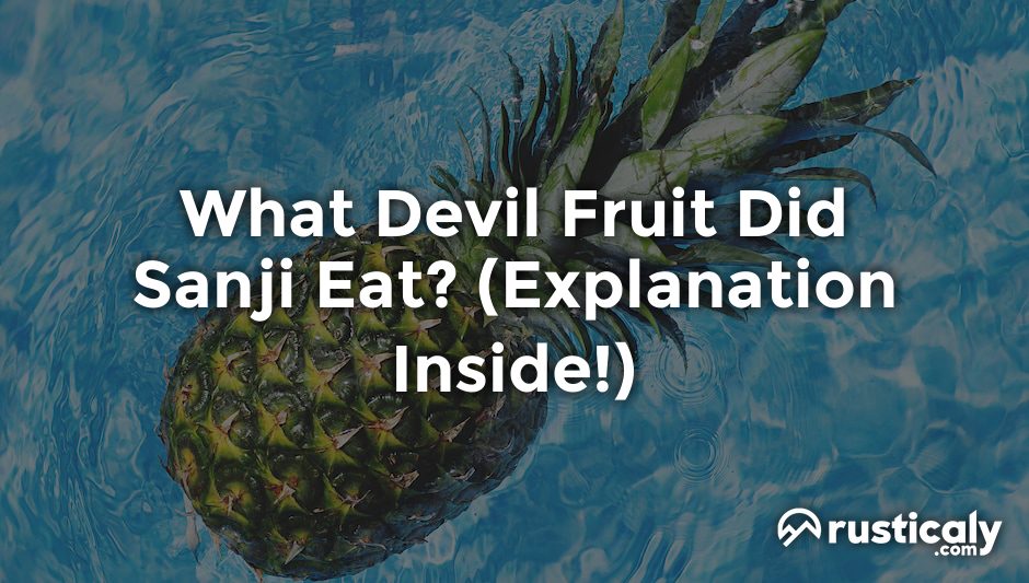 what devil fruit did sanji eat