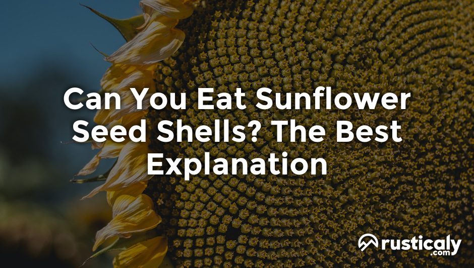 can you eat sunflower seed shells