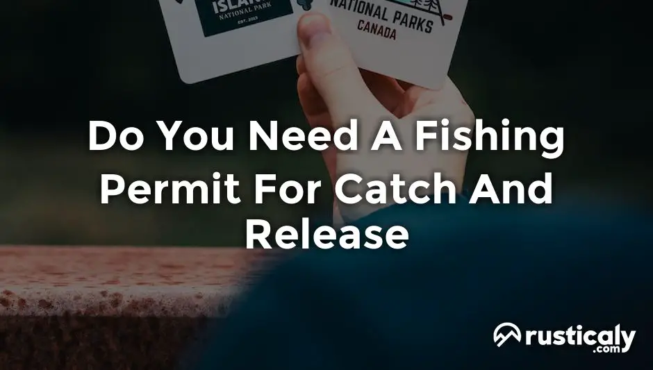 do you need a fishing permit for catch and release