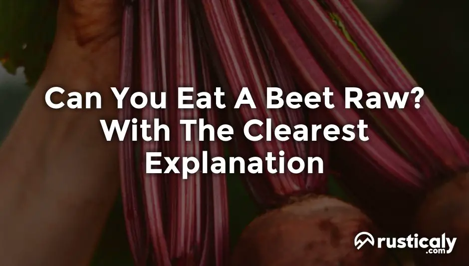 can you eat a beet raw