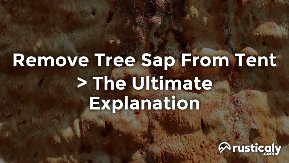 Remove Tree Sap From Tent • What People Don't Tell You