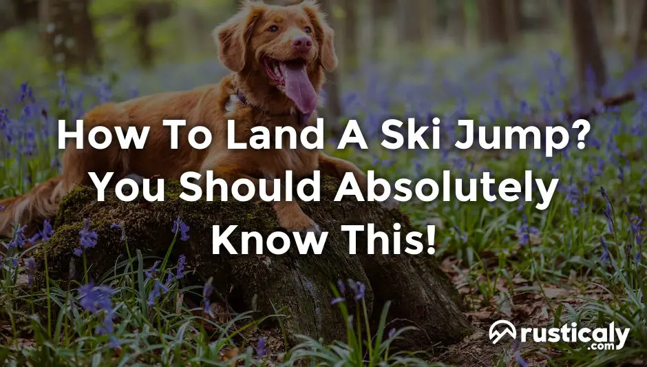 how to land a ski jump