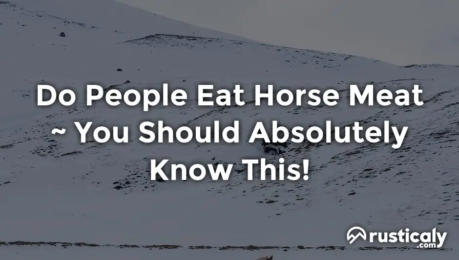 do people eat horse meat