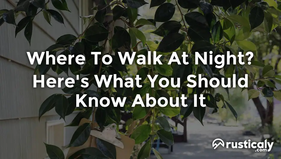 where to walk at night