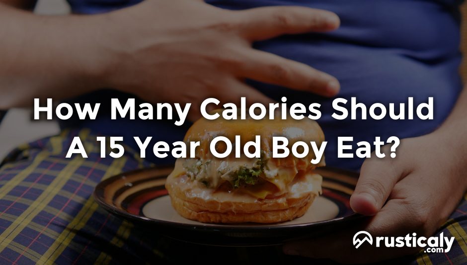 how many calories should a 15 year old boy eat