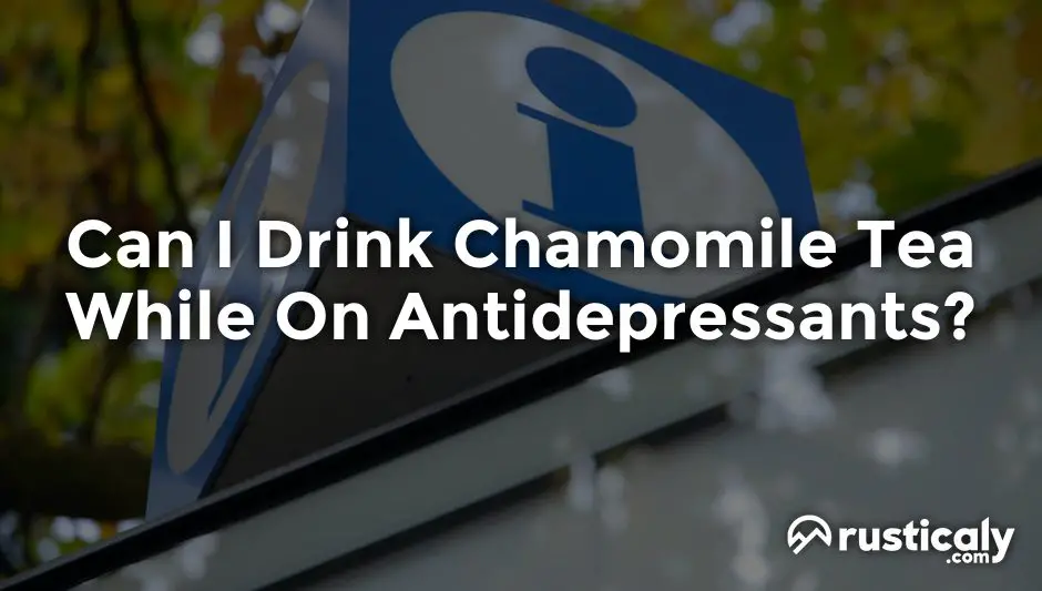 Can I Drink Chamomile Tea While On Antidepressants can-i-drink-chamomile-tea-while-on-antidepressants