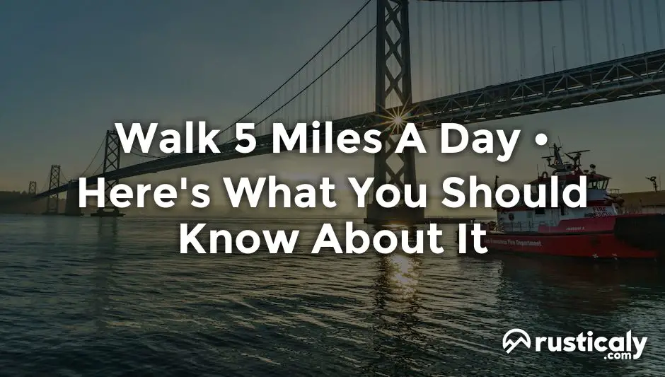 walk 5 miles a day