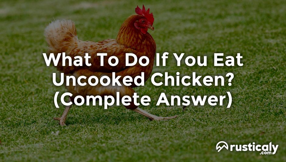 what to do if you eat uncooked chicken