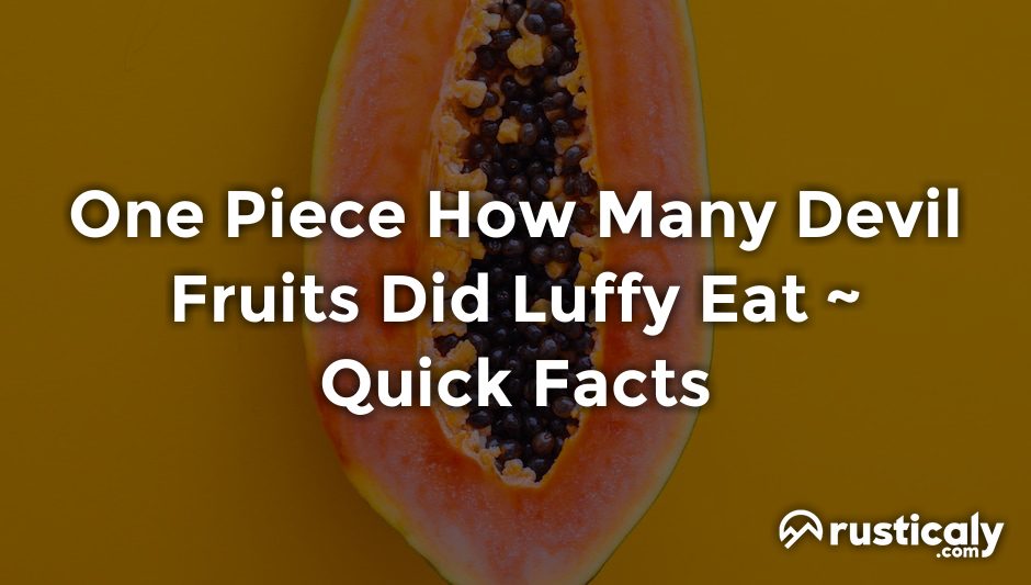 one piece how many devil fruits did luffy eat