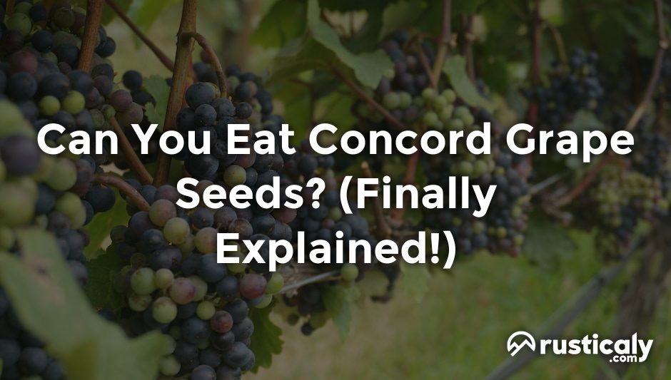can you eat concord grape seeds