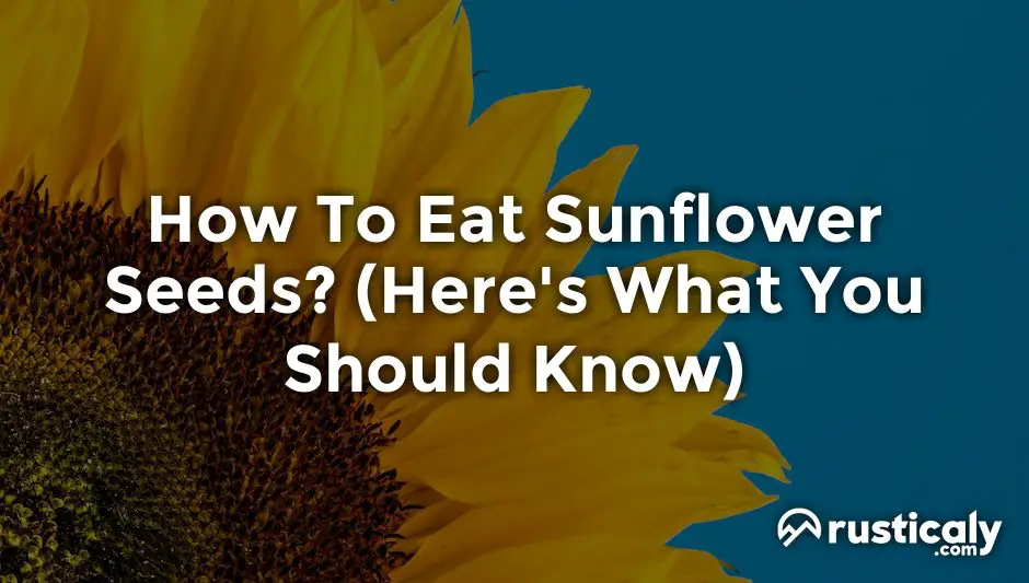 how to eat sunflower seeds