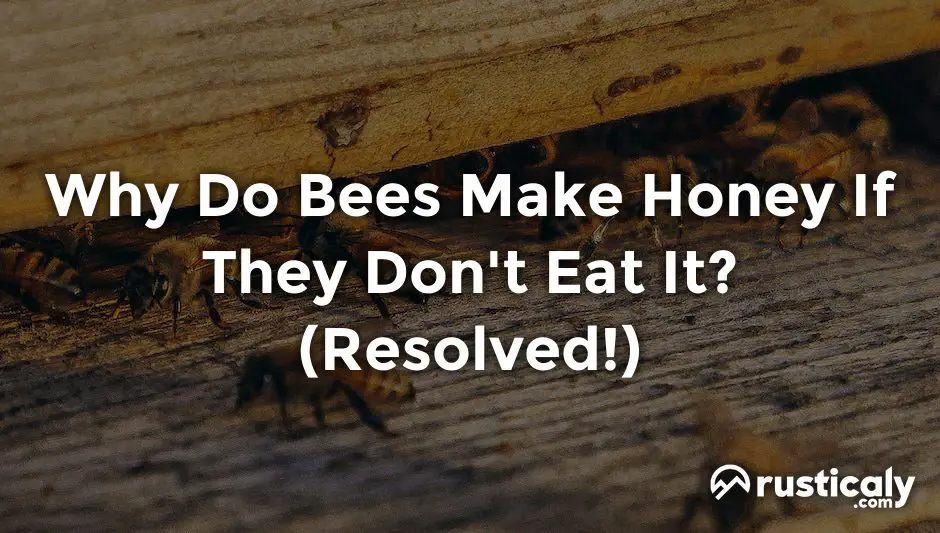 why do bees make honey if they don't eat it