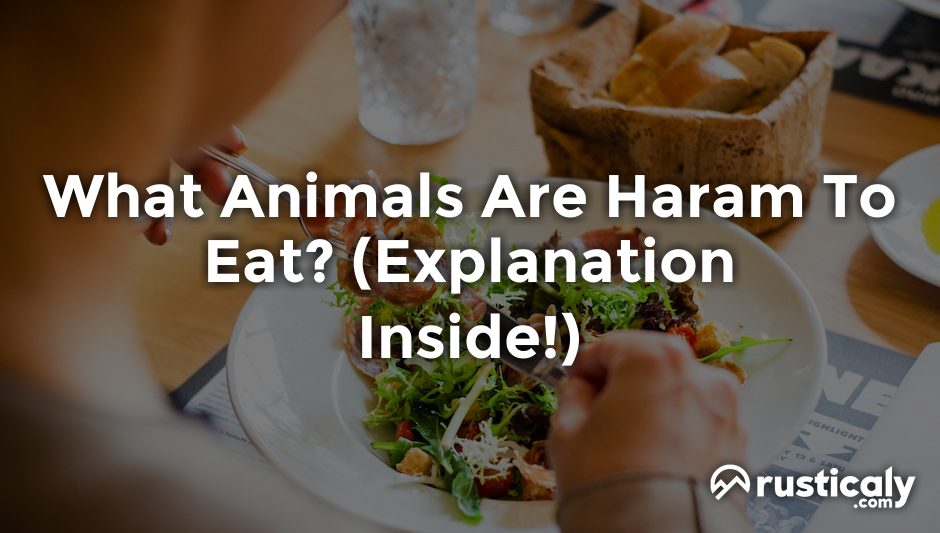 what animals are haram to eat