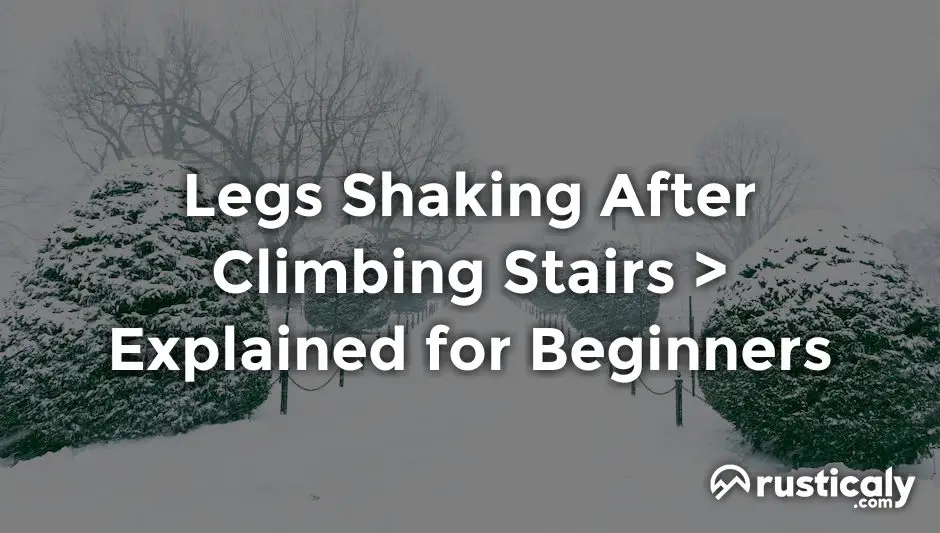 legs shaking after climbing stairs