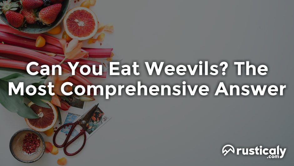 can you eat weevils