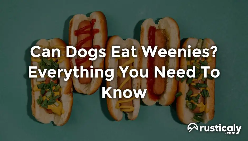 Can Dogs Eat Weenies? The Most Comprehensive Answer