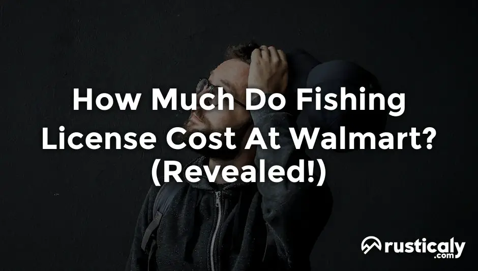 how much do fishing license cost at walmart
