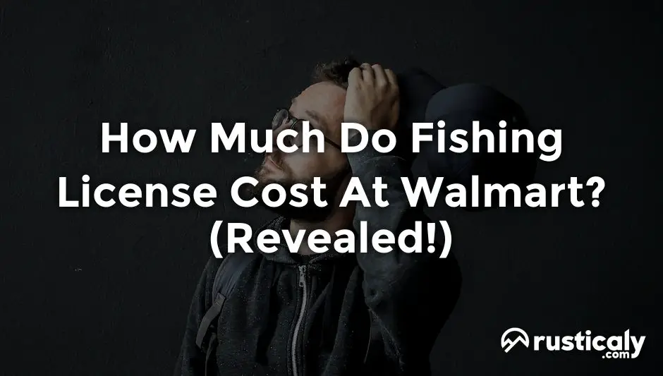 How Much Do Fishing License Cost At Walmart? (Quick Read!)