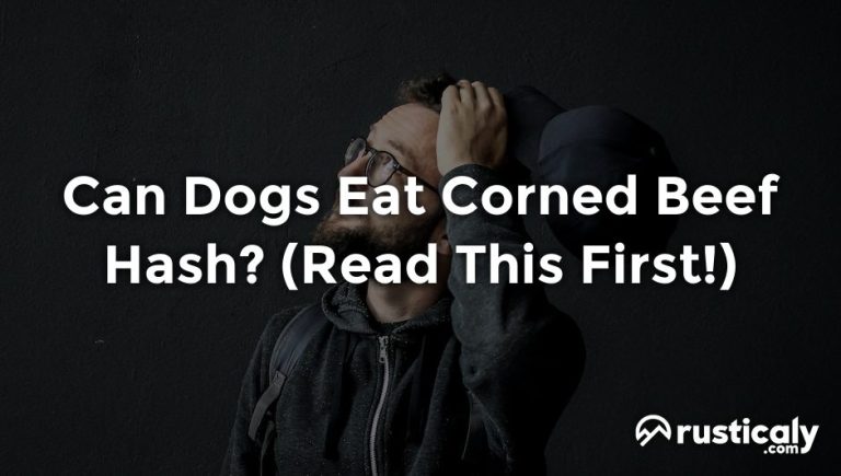 can dogs eat corned beef hash