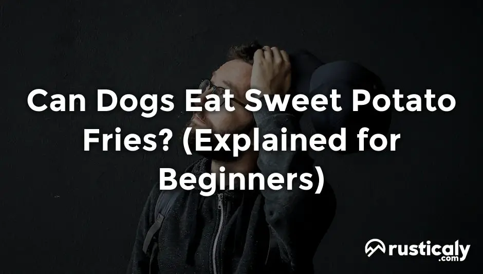 can dogs eat sweet potato fries