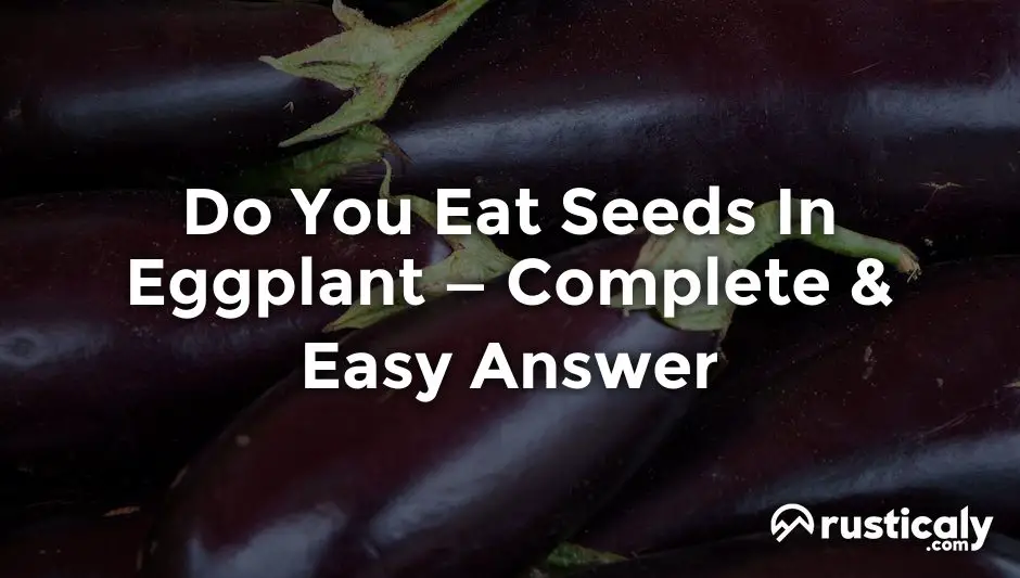 do you eat seeds in eggplant