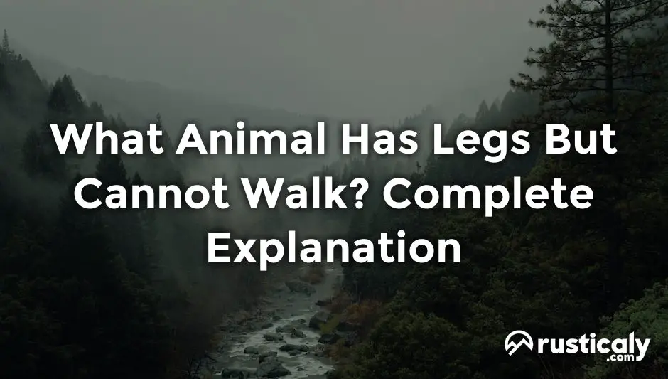 what animal has legs but cannot walk