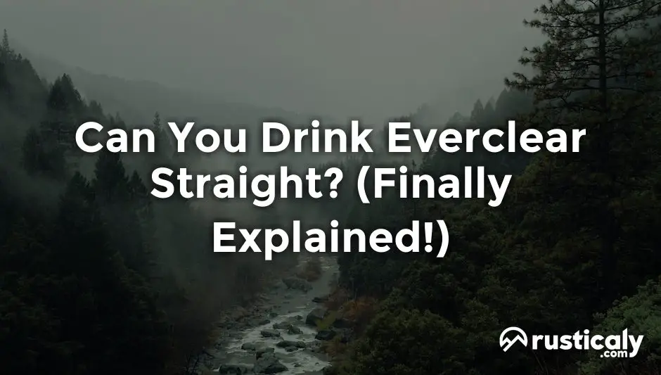 can you drink everclear straight