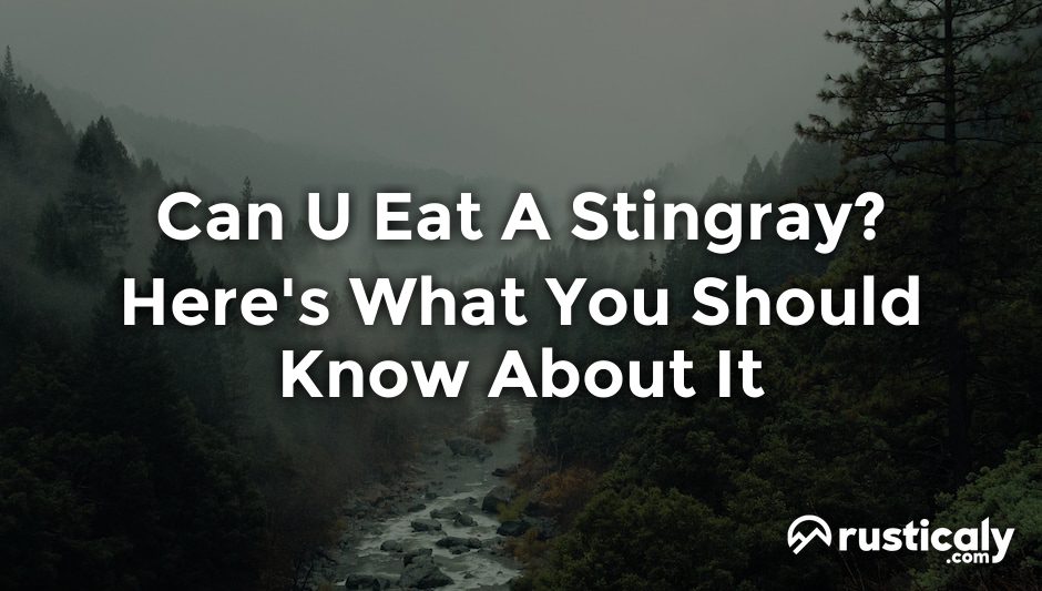 can u eat a stingray