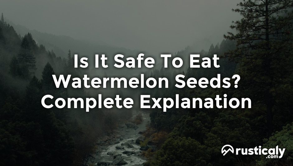 is it safe to eat watermelon seeds