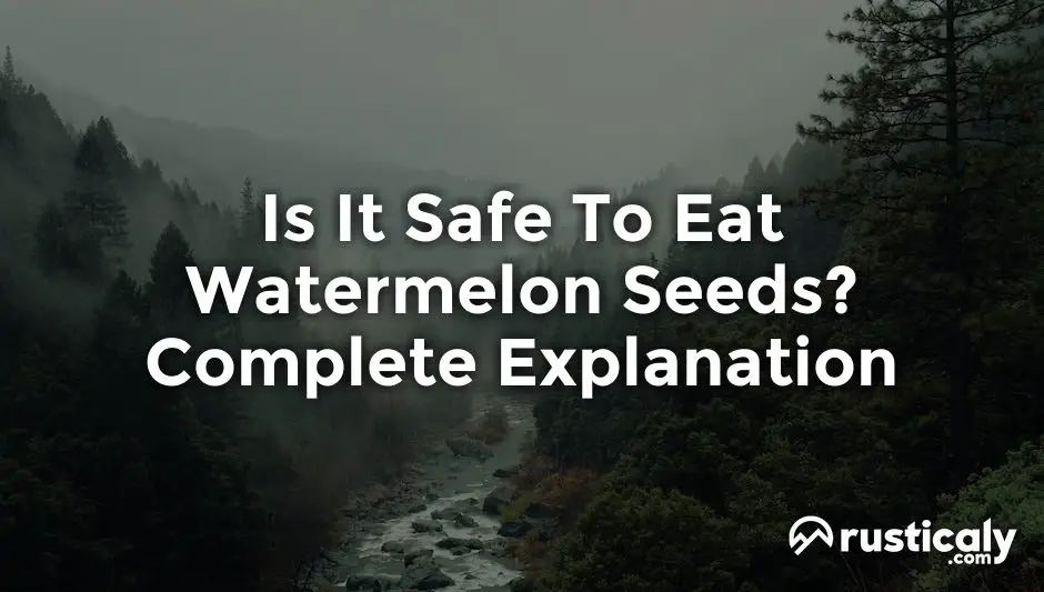 is it safe to eat watermelon seeds