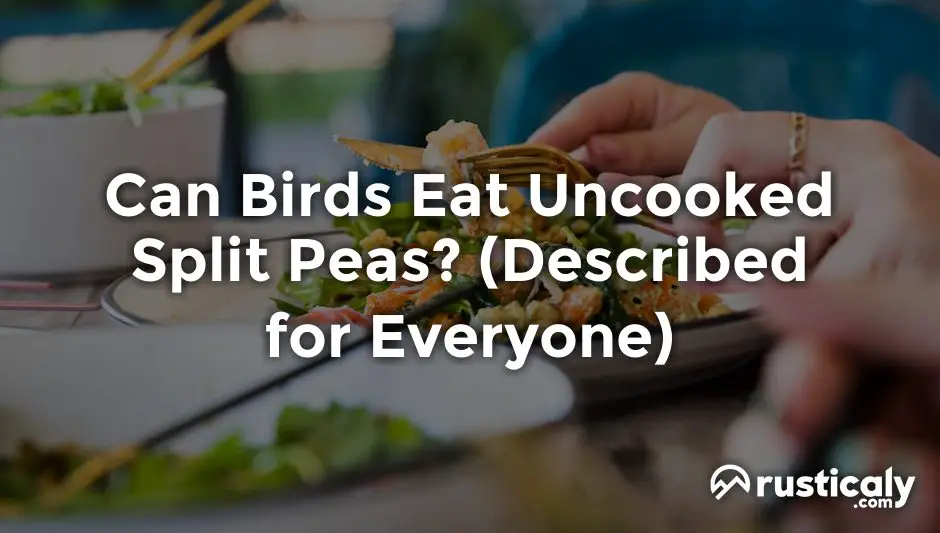 can birds eat uncooked split peas