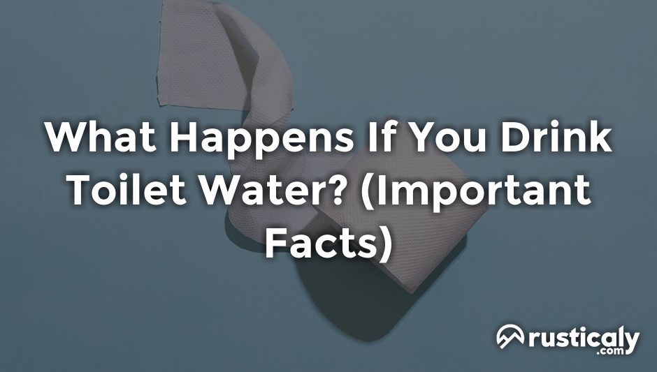 what happens if you drink toilet water