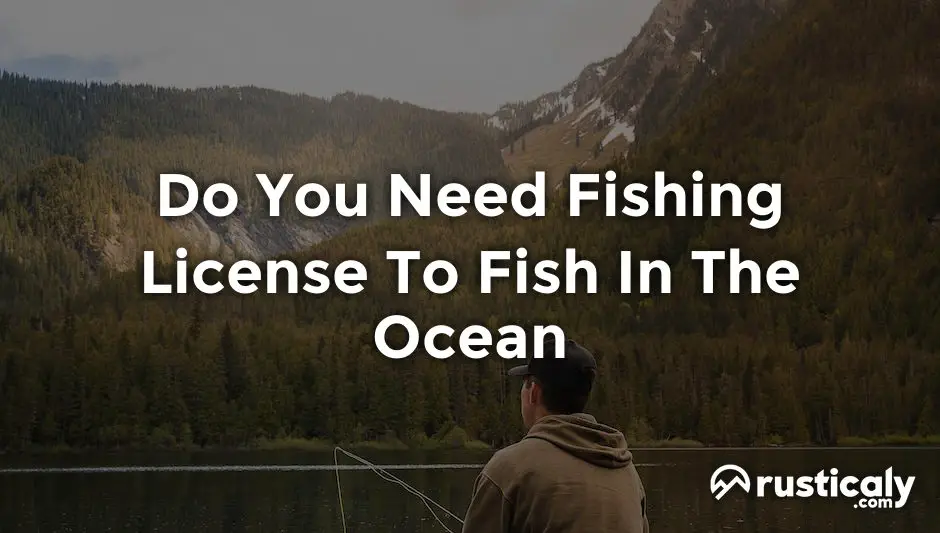 do you need fishing license to fish in the ocean