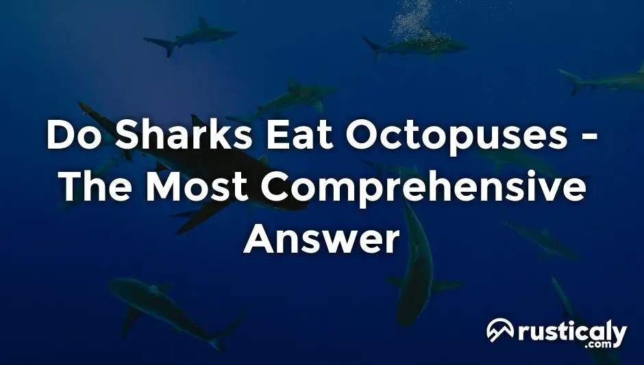 do sharks eat octopuses