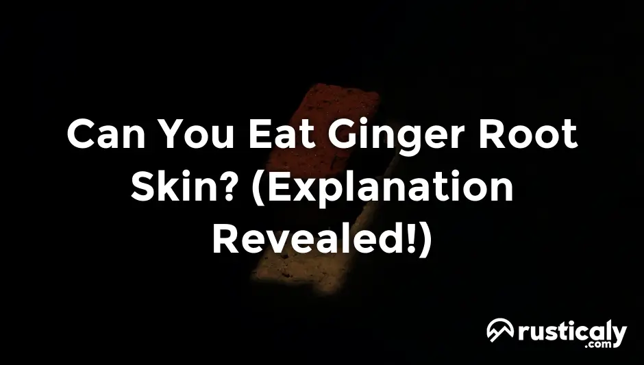 can you eat ginger root skin