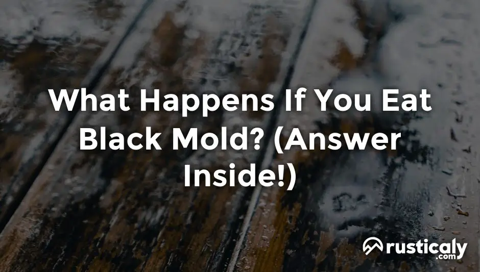 what happens if you eat black mold