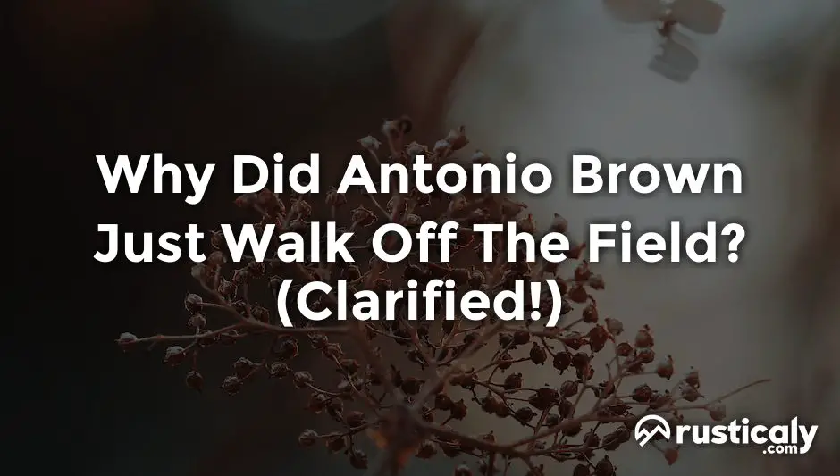 why did antonio brown just walk off the field