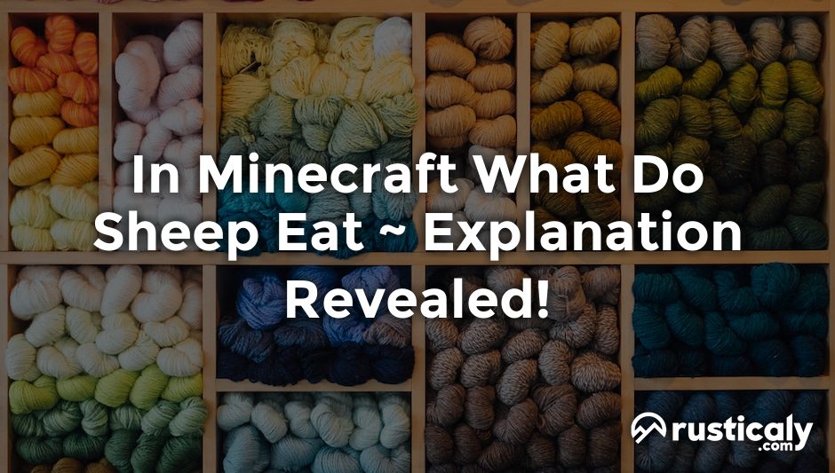 in minecraft what do sheep eat
