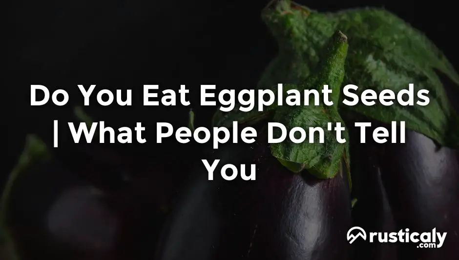 do you eat eggplant seeds